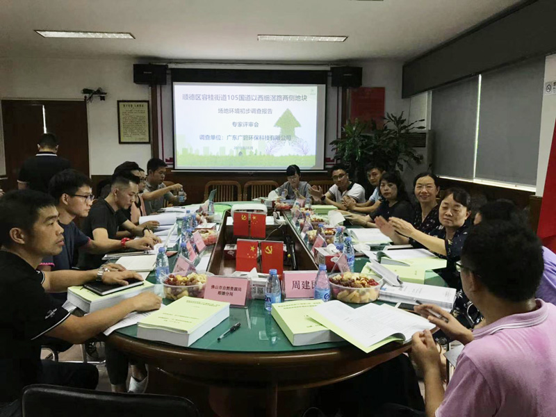 《順德容桂細滘地塊場地(dì)環境調查》廣碧環保順利通過專家評審驗(yàn)收