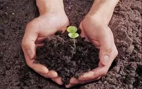 土壤修複(fù)開始前要做好這(zhè)三點