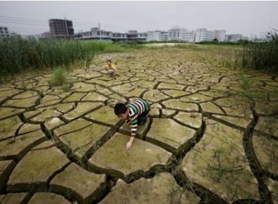 重金屬汙染土壤修複技術探討