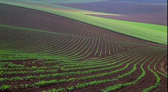 土壤的頭號威脅(xié)——土壤侵蝕