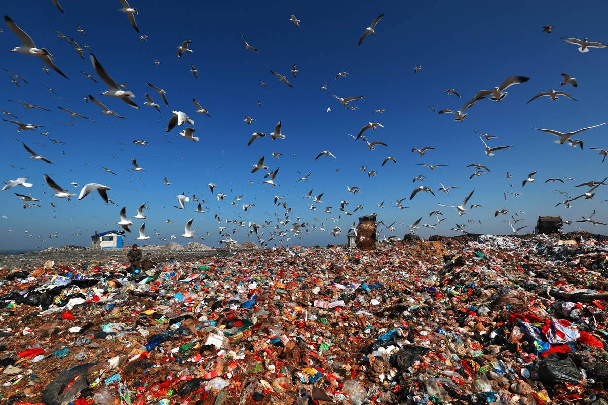 被嚴重低(dī)估的海(hǎi)洋塑料微粒數量(圖2) 被(bèi)嚴重低估的海洋塑料微粒數量(圖(tú)2)