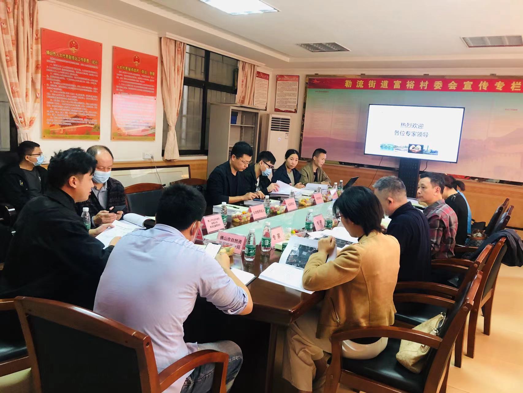 廣碧環保《勒流街道南國西路以南、龍海路以西地塊土壤汙染狀況初步(bù)調(diào)查報告》通過專家評審會(huì)